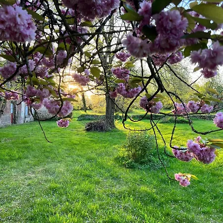 Casa de Férias Havre De Paix En Pleine Nature-collection Idylliq